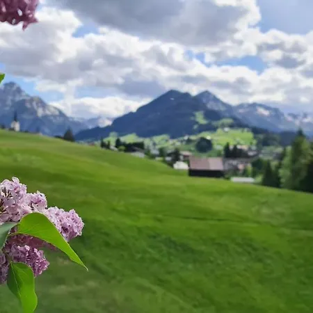 Haus Alpenglueck 게스트하우스 리즐런