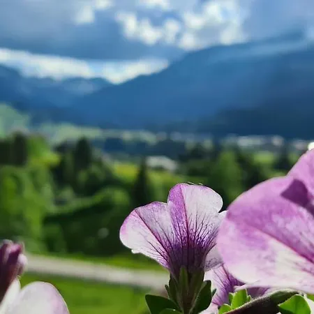 Haus Alpenglueck 리즐런