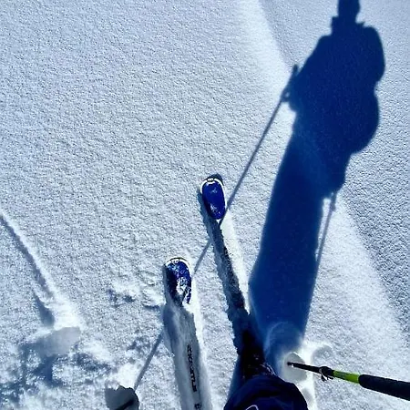 Haus Alpenglueck 게스트하우스 리즐런