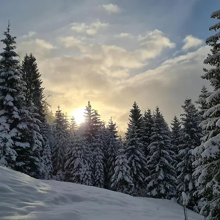 Haus Alpenglueck 게스트하우스 *